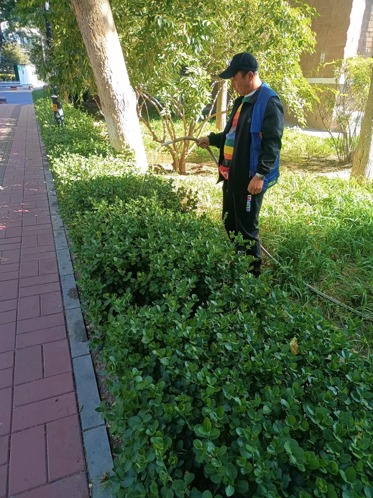 綠意盎然花園，物業(yè)保潔打造心靈休憩之地