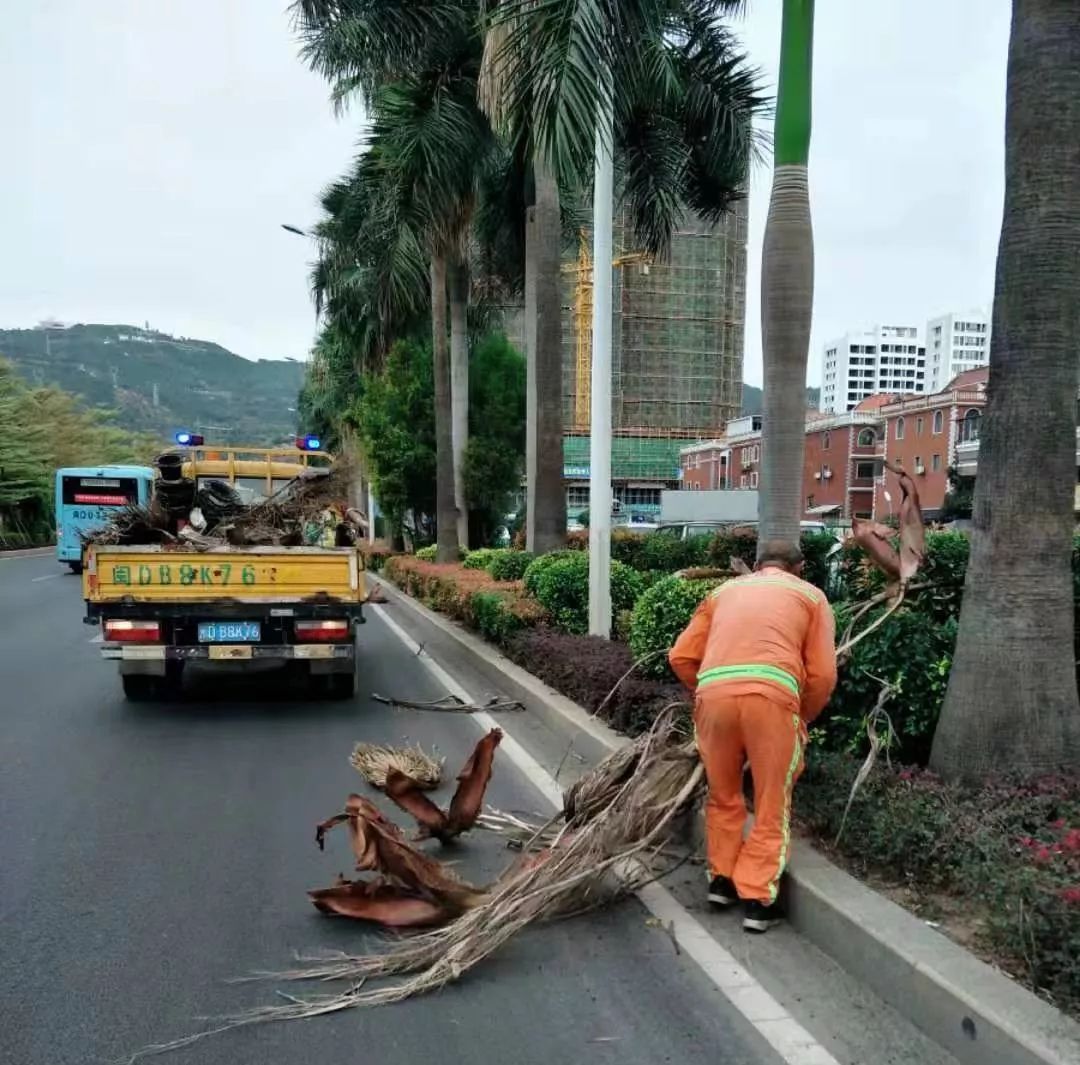 道路清掃保潔實施方案的全面解讀與韻文呈現(xiàn)