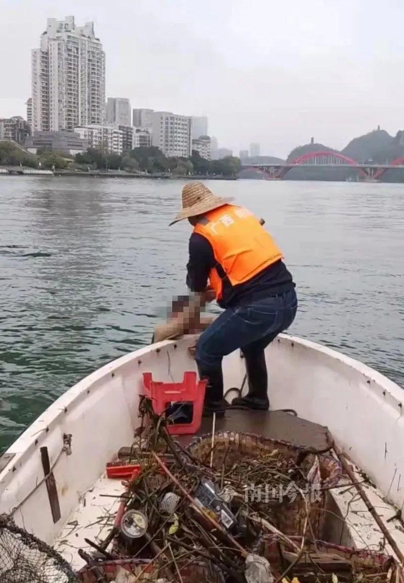 小巷深處特色店，保潔檢查背后的秘密揭曉