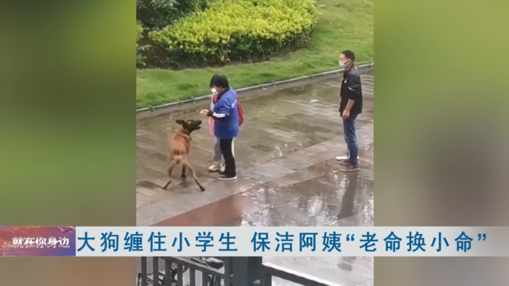 武漢保潔阿姨與馬犬的自然之旅