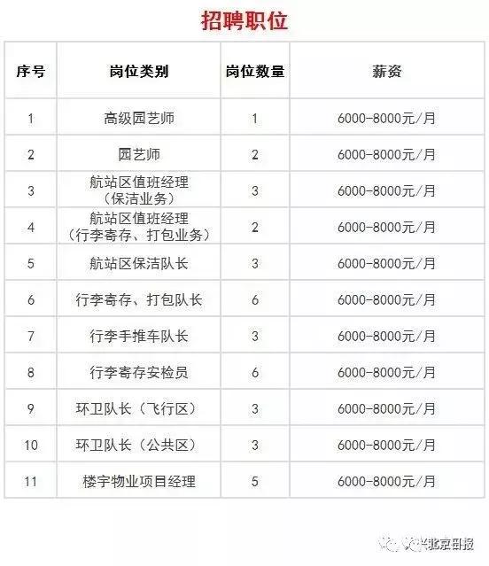 大興保潔服務(wù)，全面審視下的多重視角分析