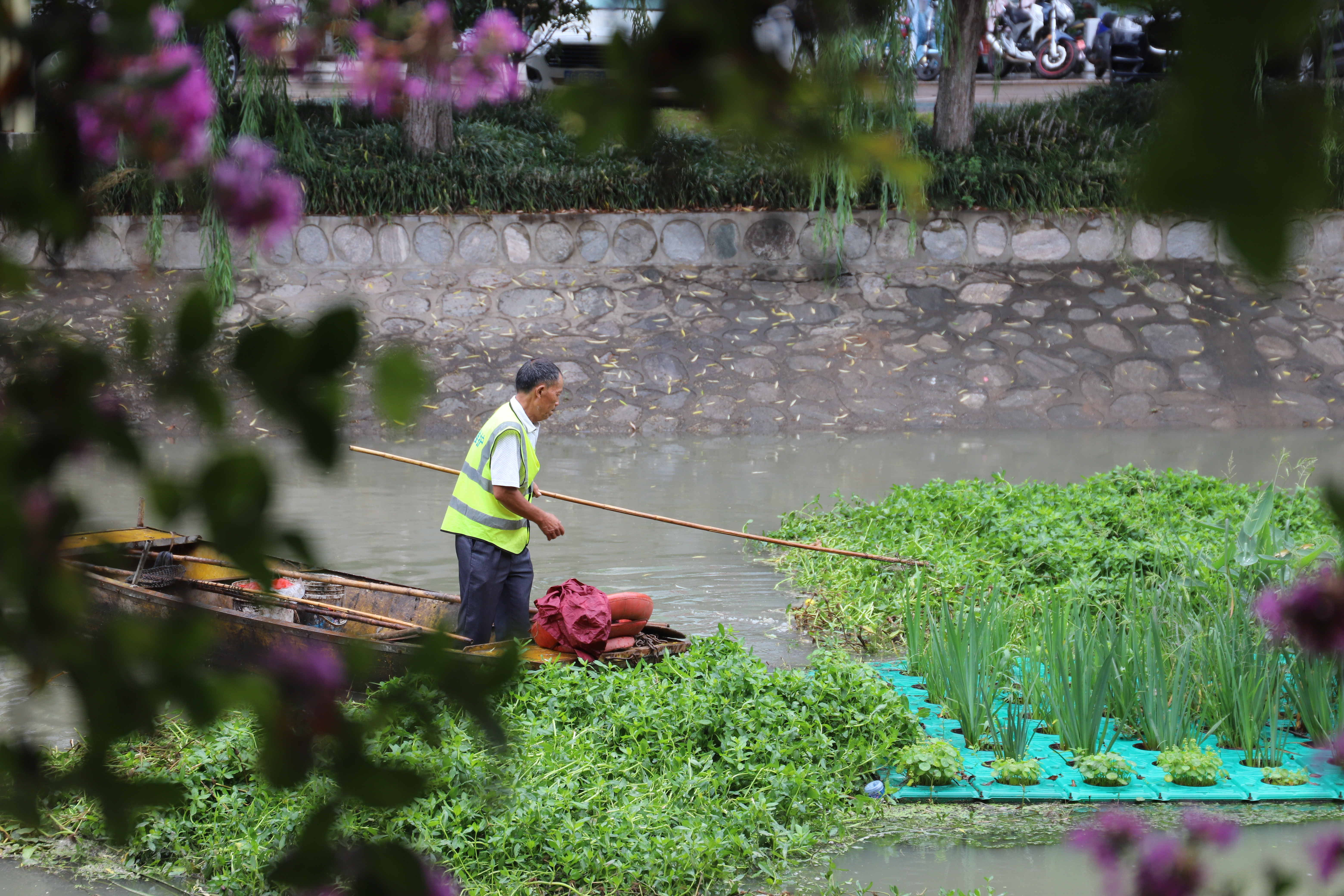 河道保潔深度探索，小巷里的綠色守護(hù)者