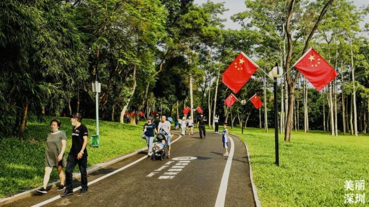 深圳公園保潔，打造綠色生態(tài)，美麗無處不在的承諾